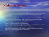 Bitė Vilimaitė: biografija, kūrybos bruožai 5 puslapis