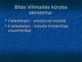 Bitė Vilimaitė (g. 1943) 6 puslapis