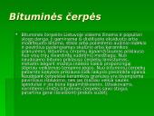 Bituminės stogų dangos 4 puslapis