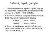 Buferinės sistemos 2 puslapis