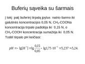 Buferinės sistemos 12 puslapis