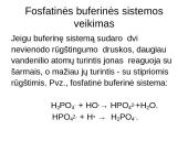 Buferinės sistemos 13 puslapis