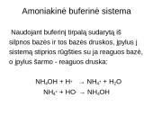 Buferinės sistemos 14 puslapis