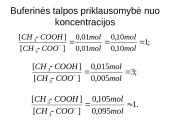 Buferinės sistemos 16 puslapis