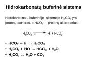 Buferinės sistemos 20 puslapis