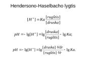 Buferinės sistemos 4 puslapis