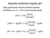 Buferinės sistemos 6 puslapis
