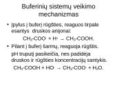 Buferinės sistemos 7 puslapis