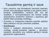 Buitinės atliekos. Buitinių atliekų rūšiavimas 12 puslapis