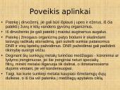 Buitinės atliekos. Buitinių atliekų rūšiavimas 9 puslapis