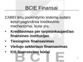 Central American Bank of Economic Integration (CABEI) 13 puslapis