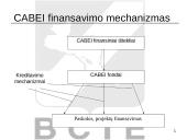 Central American Bank of Economic Integration (CABEI) 17 puslapis