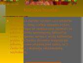 Dailė XIX amžiuje 13 puslapis