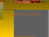 Dailė XIX amžiuje 14 puslapis