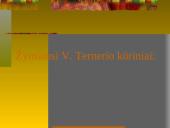 Dailė XIX amžiuje 20 puslapis