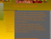 Dailė XIX amžiuje 7 puslapis