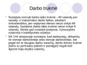 Darbo ir poilsio laikas 4 puslapis