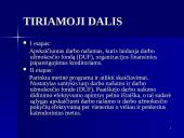 Darbo našumo prognozavimas 13 puslapis