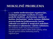 Darbo našumo prognozavimas 3 puslapis
