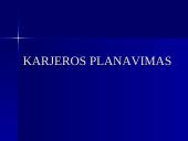Darbo paieškos ir karjeros planavimas 11 puslapis