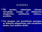 Darbo paieškos ir karjeros planavimas 12 puslapis