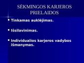 Darbo paieškos ir karjeros planavimas 13 puslapis