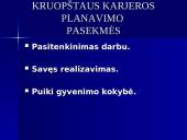 Darbo paieškos ir karjeros planavimas 20 puslapis