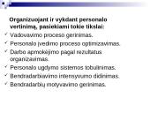 Personalo darbo vertinimas 3 puslapis