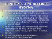 Terapija delfinais 14 puslapis