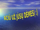 Terapija delfinais 19 puslapis