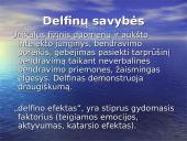 Terapija delfinais 10 puslapis