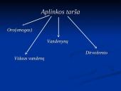 Demografija. Aplinka ir visuomenė. Taršos įtaka visuomenei ir žmogaus sveikatai 16 puslapis