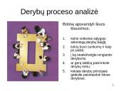 Derybų taktika 12 puslapis