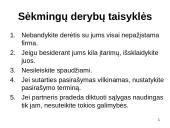 Derybų taktika 13 puslapis