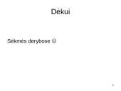 Derybų taktika 16 puslapis