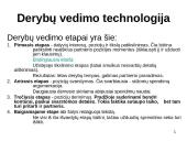 Derybų taktika 5 puslapis