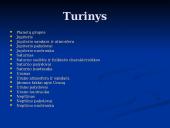 Didžiosios Saulės sistemos planetos 2 puslapis