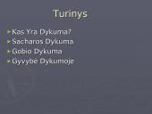 Pasaulio dykumos ir gyvybė dykumose 2 puslapis