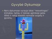 Pasaulio dykumos ir gyvybė dykumose 11 puslapis