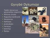 Pasaulio dykumos ir gyvybė dykumose 12 puslapis
