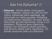 Pasaulio dykumos ir gyvybė dykumose 3 puslapis