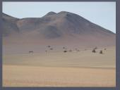 Pasaulio dykumos ir gyvybė dykumose 4 puslapis