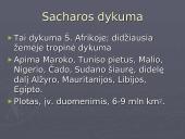 Pasaulio dykumos ir gyvybė dykumose 5 puslapis