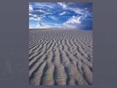 Pasaulio dykumos ir gyvybė dykumose 6 puslapis