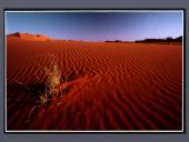 Pasaulio dykumos ir gyvybė dykumose 8 puslapis