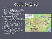 Pasaulio dykumos ir gyvybė dykumose 9 puslapis