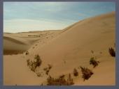 Pasaulio dykumos ir gyvybė dykumose 10 puslapis