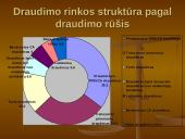 Draudimas ir draudimo paslaugos 16 puslapis