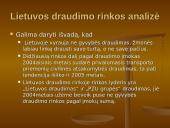 Draudimas ir draudimo paslaugos 17 puslapis