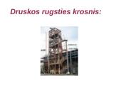 Druskos rūgštis 14 puslapis